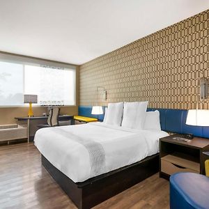 King Room Disability Access
